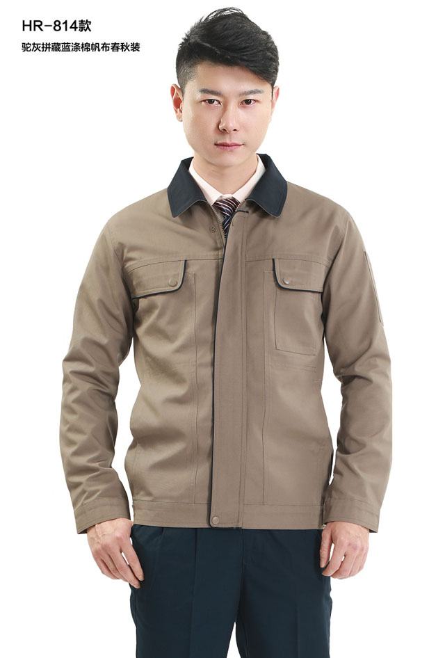 HR-814���ƴɫ�Ό��ѿ˹��������ƿ�ʽ